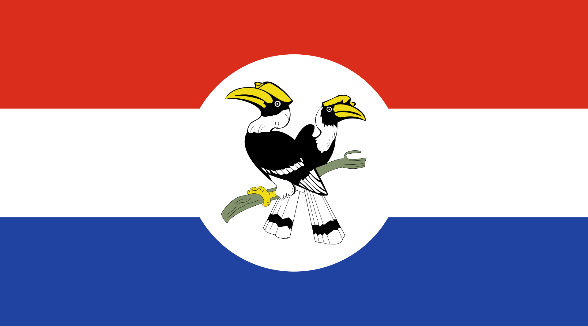 Chin Land Flag